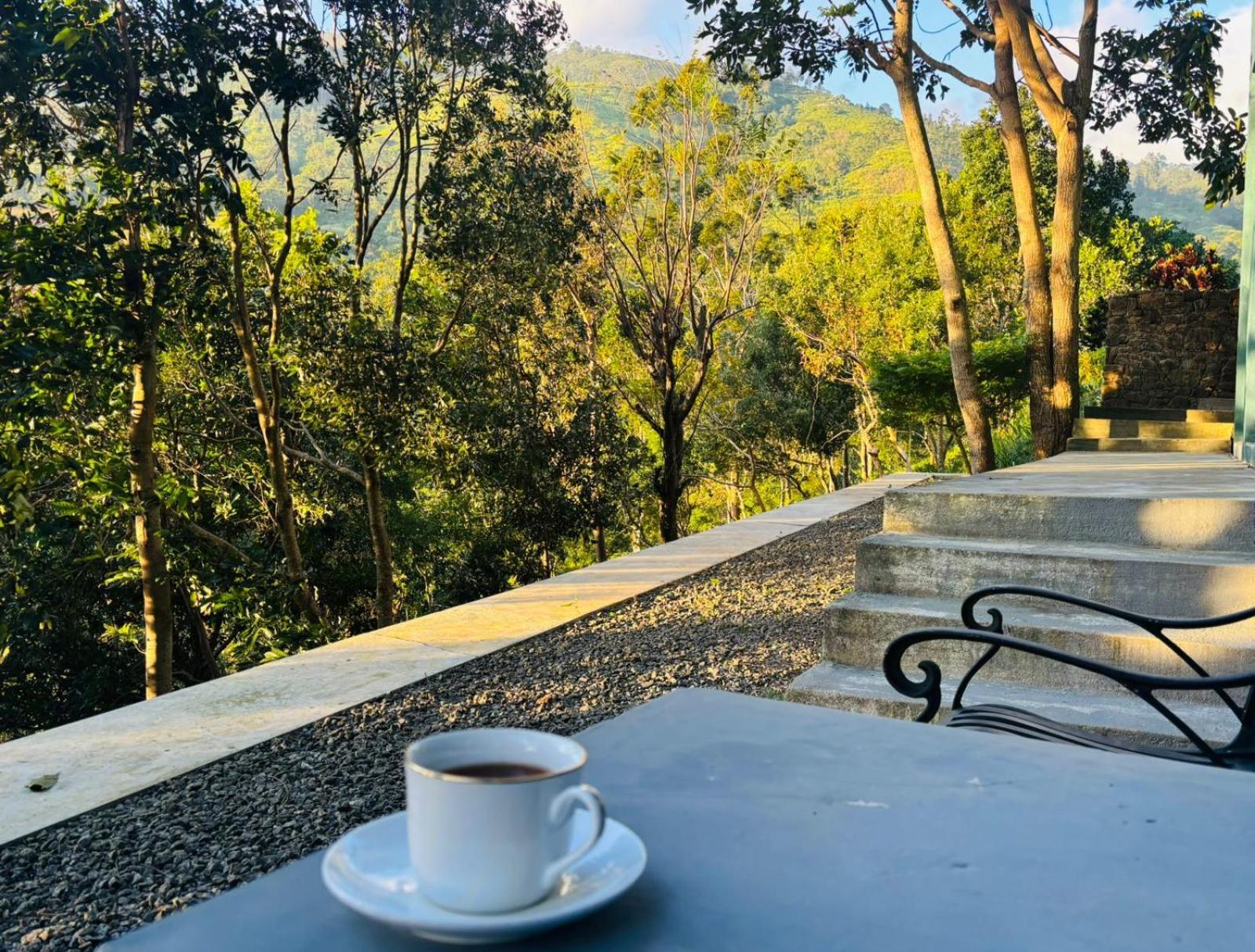 Romance Valley Lodge *